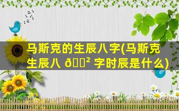 马斯克的生辰八字(马斯克生辰八 🌲 字时辰是什么)